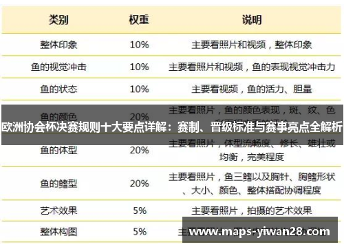 欧洲协会杯决赛规则十大要点详解：赛制、晋级标准与赛事亮点全解析